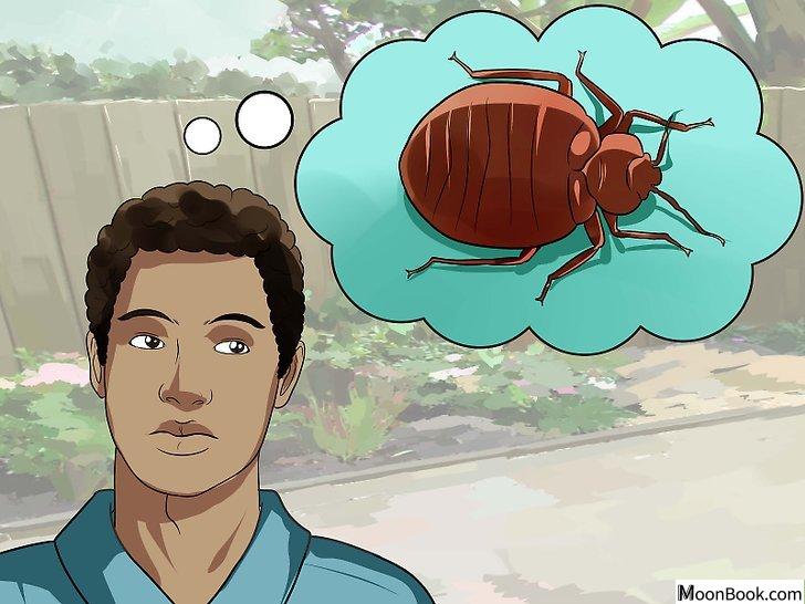 以Avoid Insect Bites While Sleeping Step 1为标题的图片