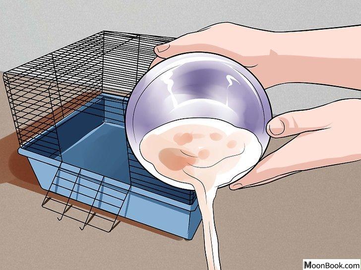 以Avoid Insect Bites While Sleeping Step 5为标题的图片