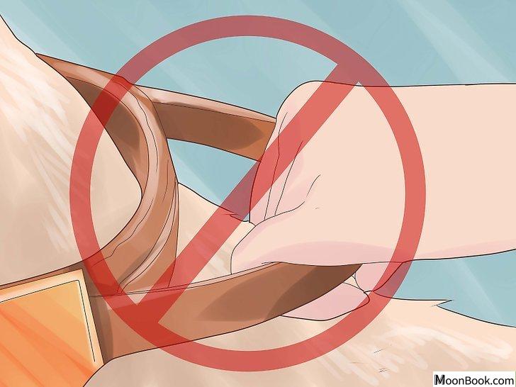 以Break Up a Dog Fight Step 5为标题的图片