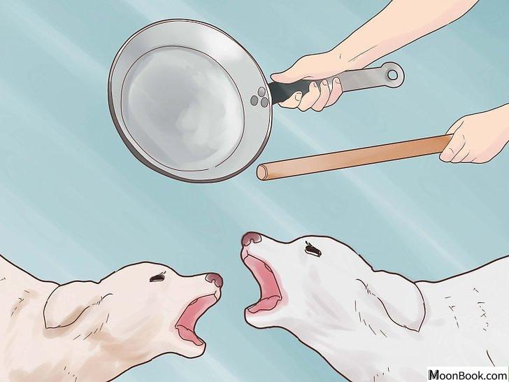 以Break Up a Dog Fight Step 7为标题的图片