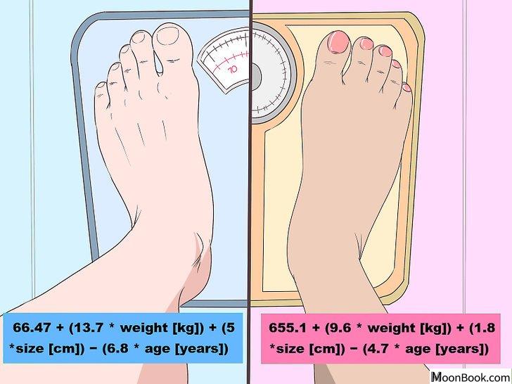 以Calculate How Many Calories You Need to Eat to Lose Weight Step 1为标题的图片