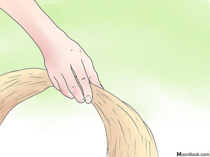 以Care for Mini Lop Rabbits Step 5为标题的图片