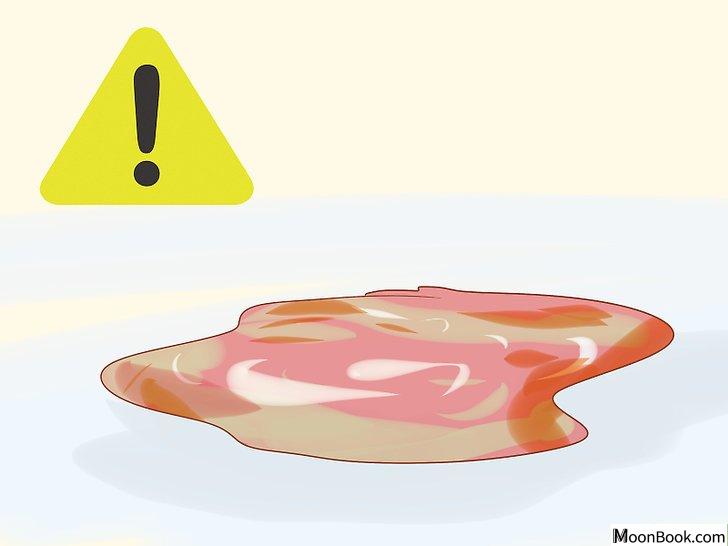 以Care for a Dog After It Has Just Vomited Step 7为标题的图片