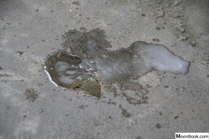 以Clean Oil Off a Driveway Step 23为标题的图片