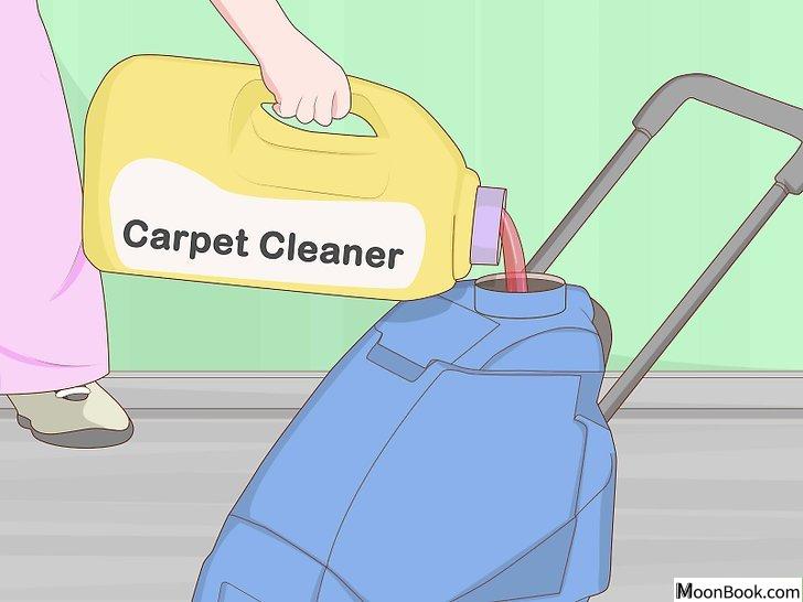 以Clean Pet Vomit from Carpet Step 19为标题的图片