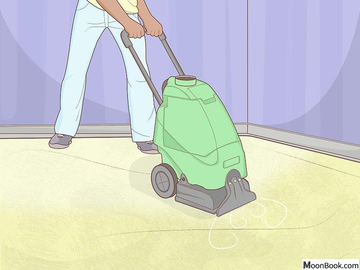 以Clean Pet Vomit from Carpet Step 21为标题的图片