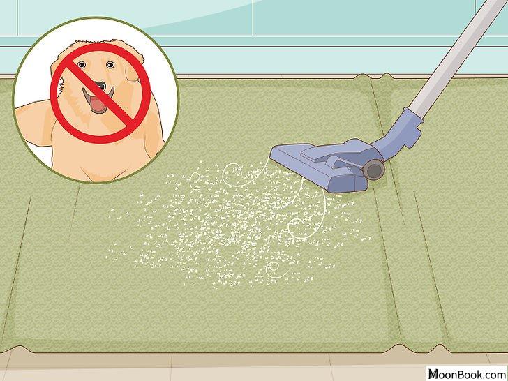 以Clean Pet Vomit from Carpet Step 8为标题的图片