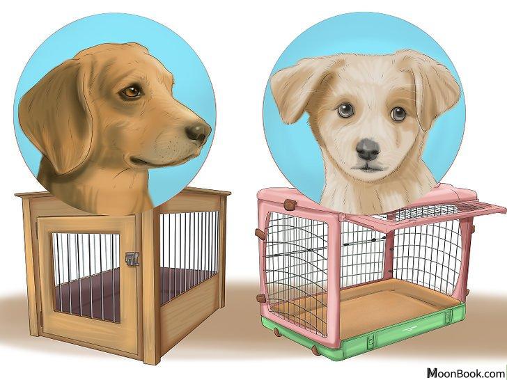 以Crate Train Your Dog or Puppy Step 1为标题的图片