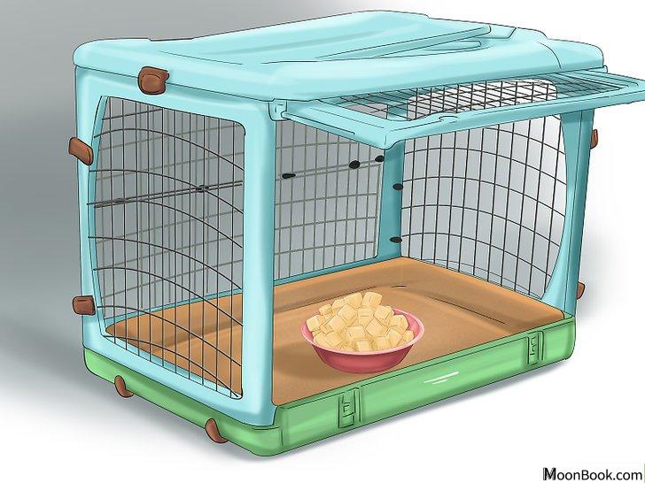 以Crate Train Your Dog or Puppy Step 14为标题的图片