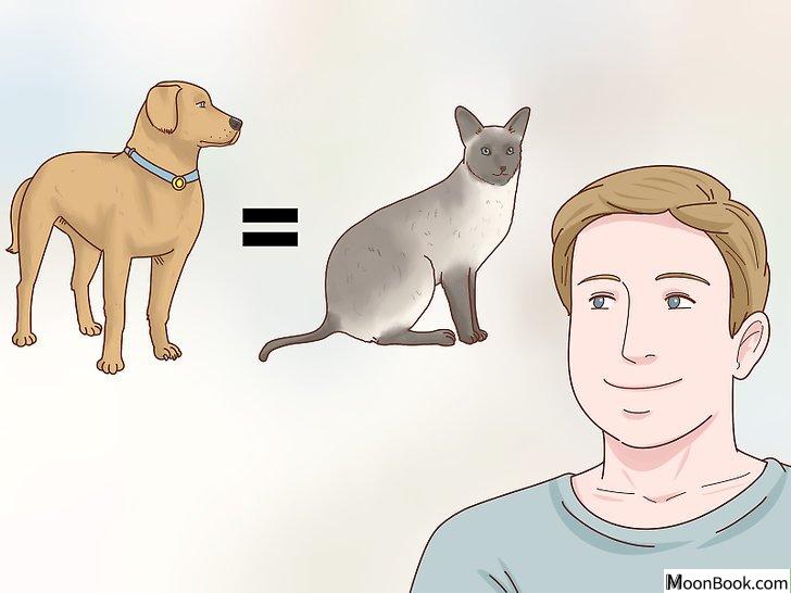 以Decide if a Siamese Cat Is Right for You Step 2为标题的图片