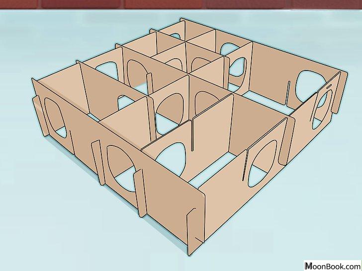 以Entertain Your Guinea Pig Step 10为标题的图片