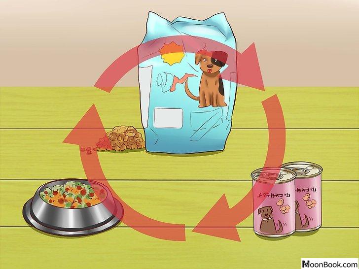 以Get Dogs to Gain a Healthy Weight Step 9为标题的图片