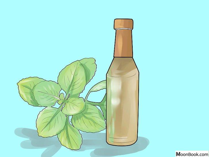 以Get Health Benefits from Oregano Oil Step 9为标题的图片