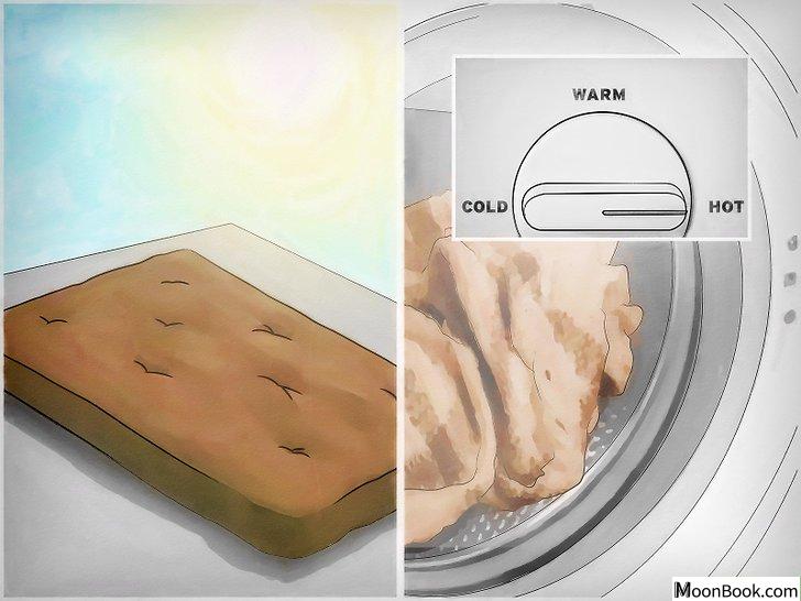 以Get Rid of Bed Bugs Step 11为标题的图片