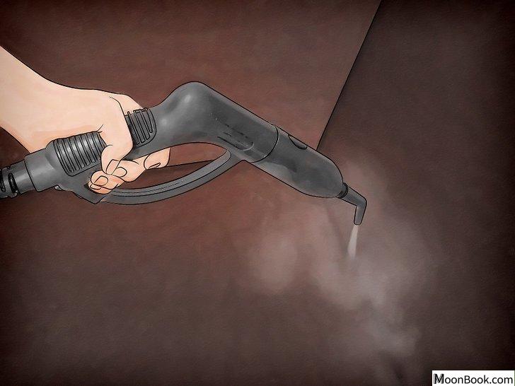 以Get Rid of Bed Bugs Step 12为标题的图片