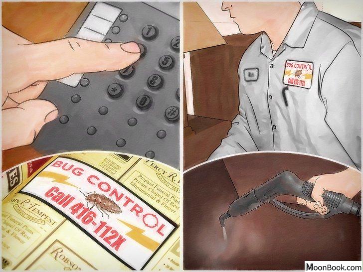 以Get Rid of Bed Bugs Step 16为标题的图片