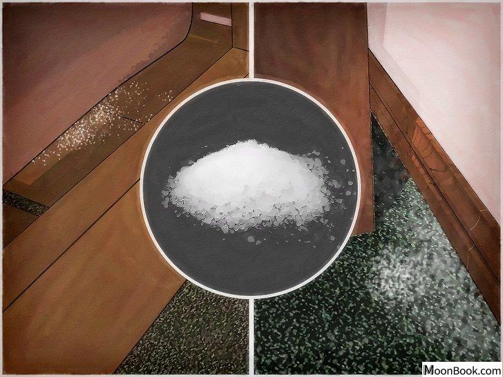 以Get Rid of Bed Bugs Step 18为标题的图片