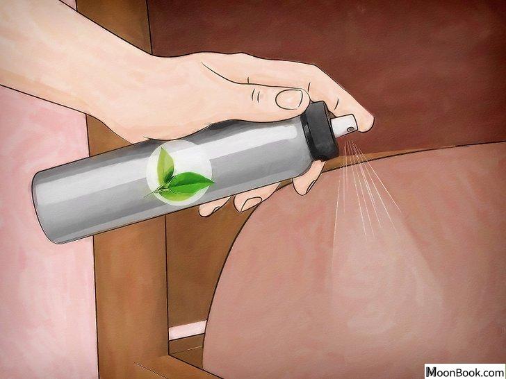 以Get Rid of Bed Bugs Step 19为标题的图片