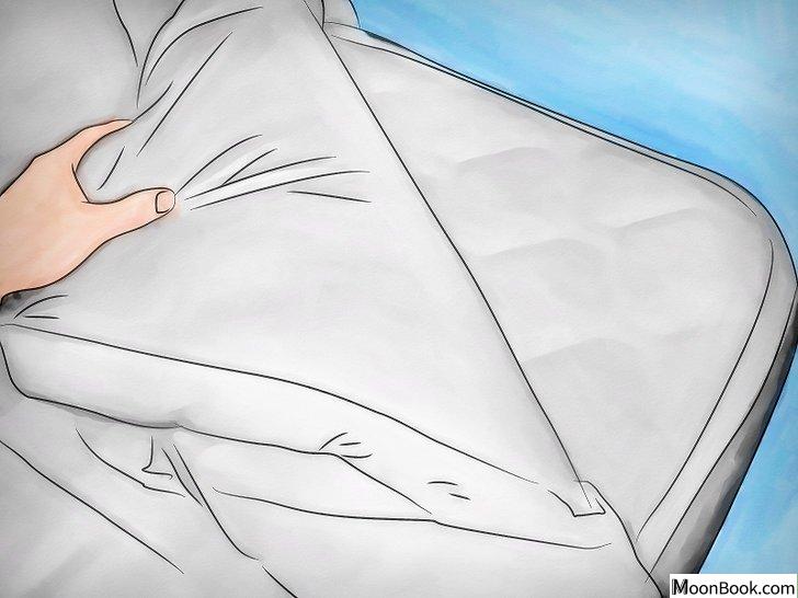 以Get Rid of Bed Bugs Step 23为标题的图片