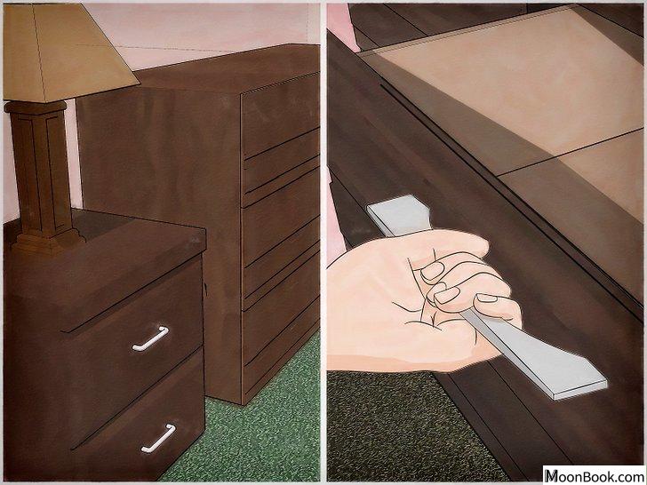 以Get Rid of Bed Bugs Step 6为标题的图片