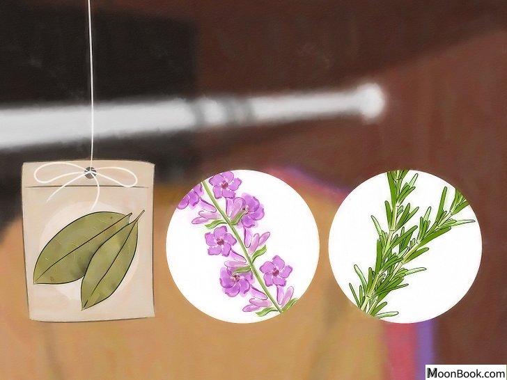 以Get Rid of Moths Step 11为标题的图片