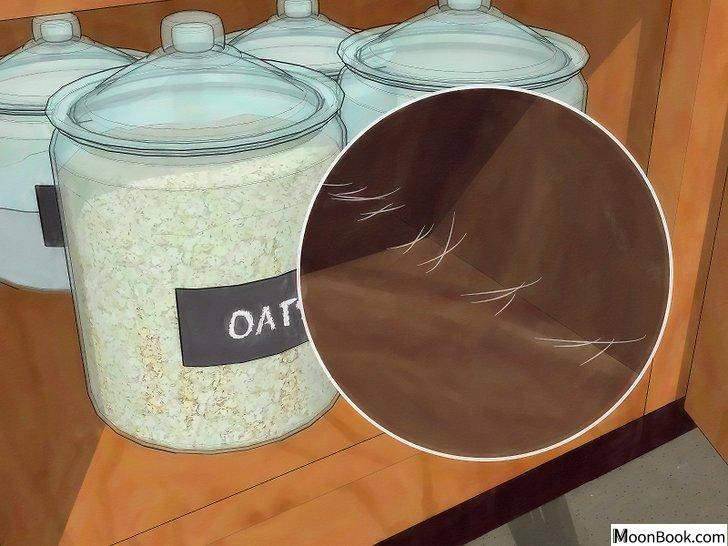 以Get Rid of Moths Step 13为标题的图片