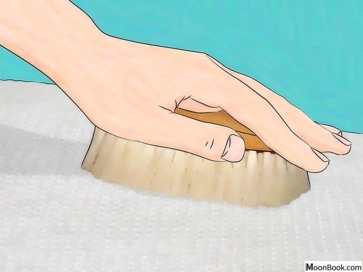 以Get Rid of Moths Step 5为标题的图片