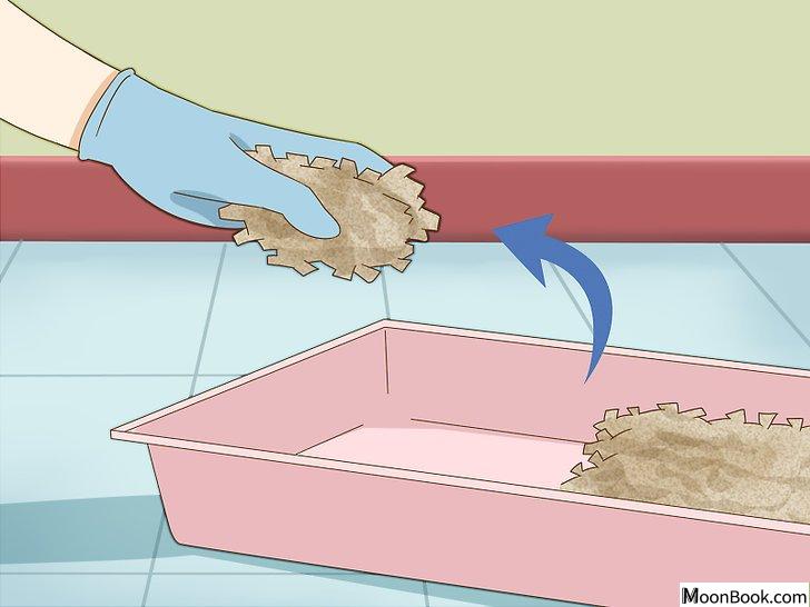 以Give Your Hamster a Bath Step 2为标题的图片