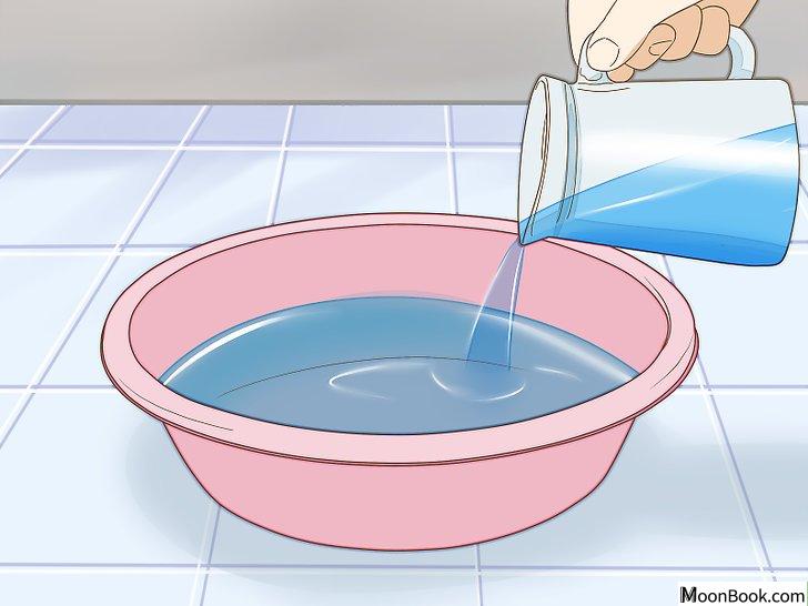 以Give Your Hamster a Bath Step 6为标题的图片