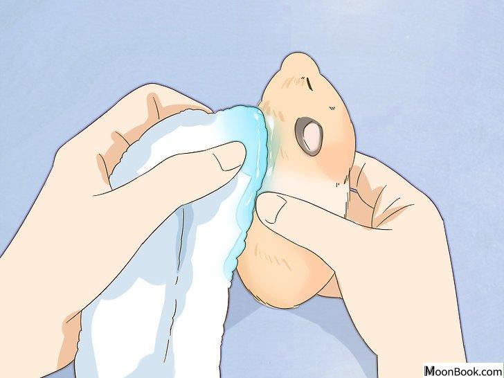 以Give Your Hamster a Bath Step 7为标题的图片