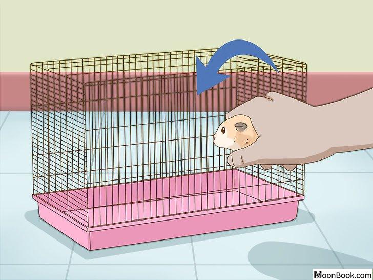 以Give Your Hamster a Bath Step 9为标题的图片