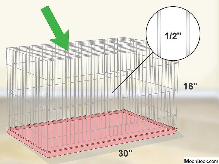 以House a Canary Step 1为标题的图片