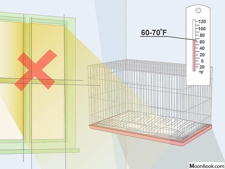 以House a Canary Step 10为标题的图片