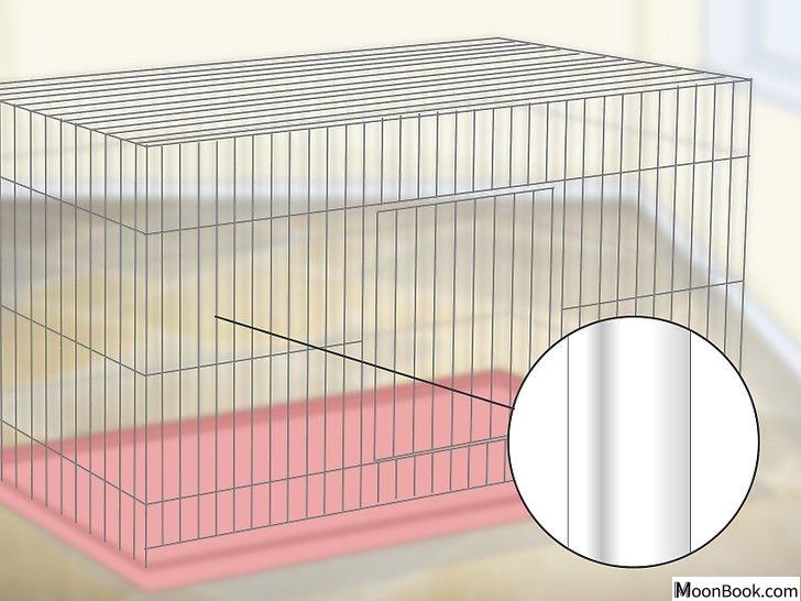以House a Canary Step 2为标题的图片