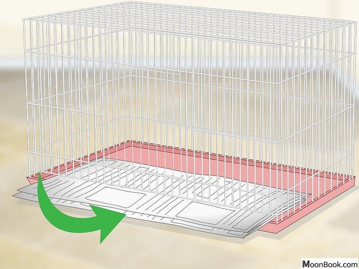 以House a Canary Step 9为标题的图片