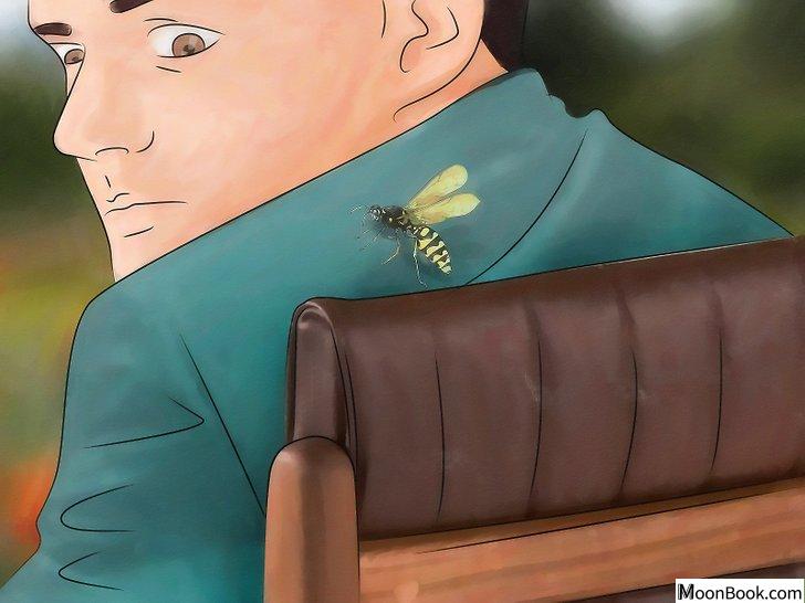 以Identify Insect Bites Step 8为标题的图片