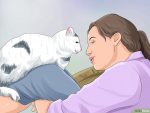以Keep a Cat Happy Step 1为标题的图片