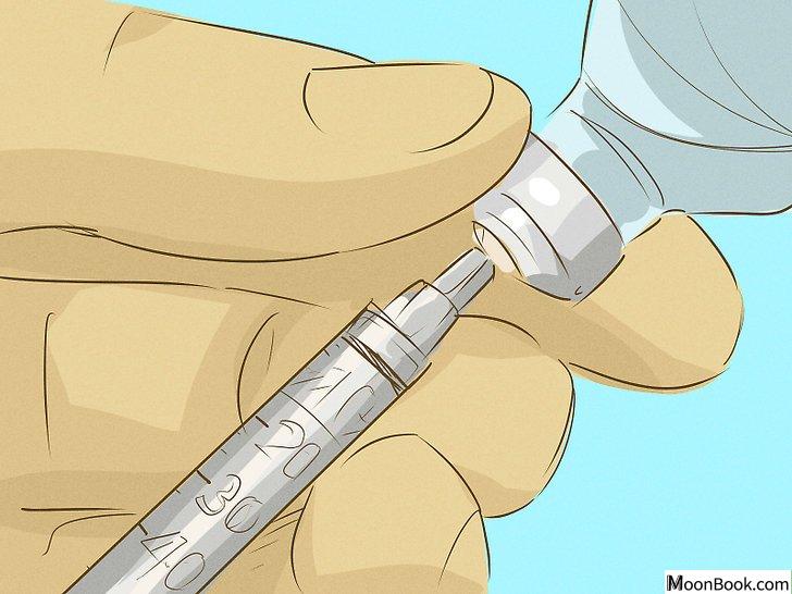 以Maintain an Erection Step 13为标题的图片
