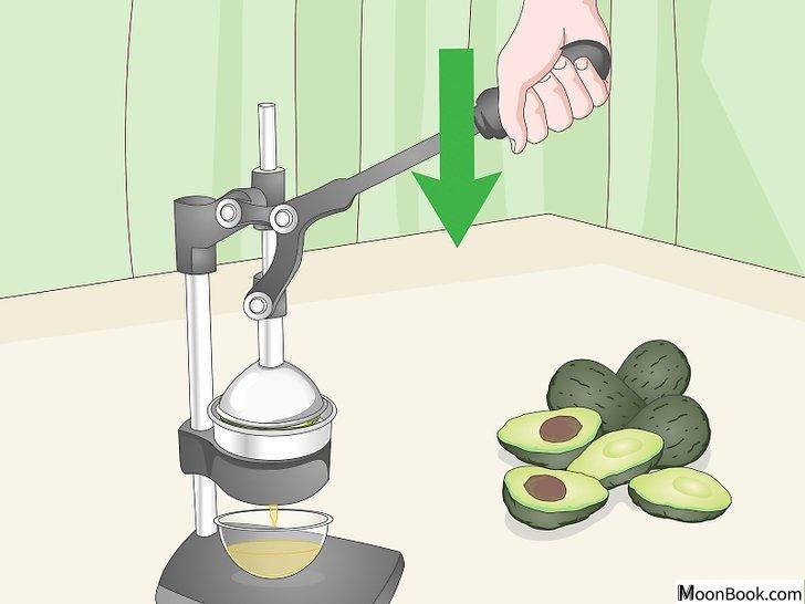以Make Avocado Oil Step 10为标题的图片