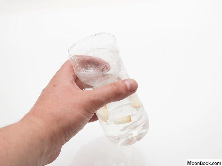以Make a Fly Trap Step 10为标题的图片
