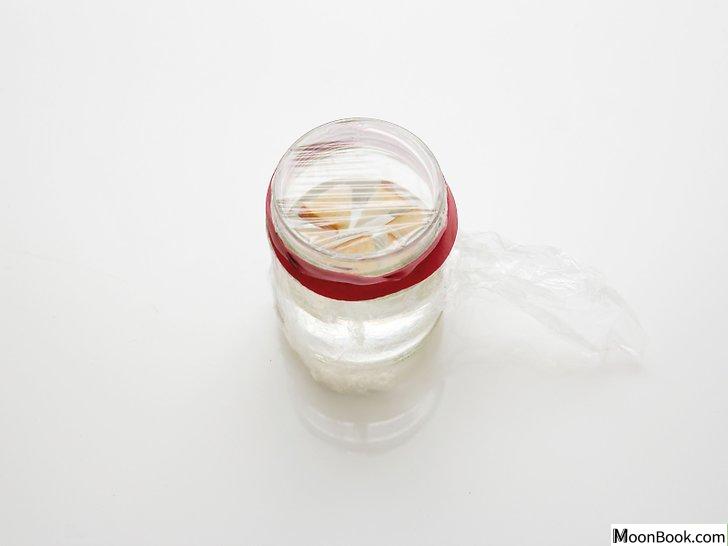 以Make a Fly Trap Step 24为标题的图片
