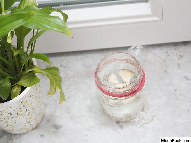 以Make a Fly Trap Step 26为标题的图片