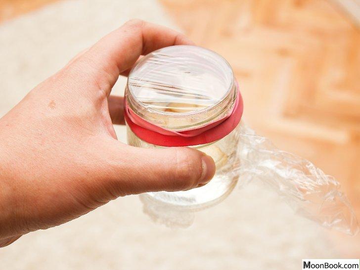 以Make a Fly Trap Step 27为标题的图片