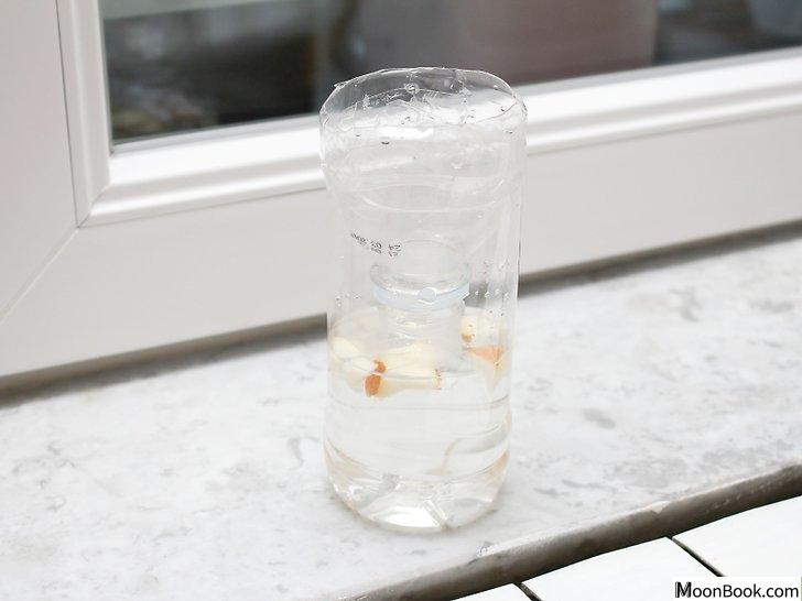 以Make a Fly Trap Step 9为标题的图片