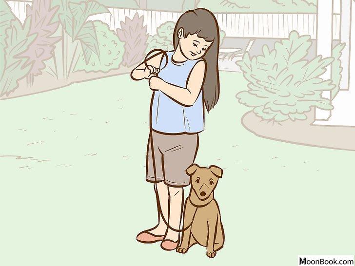 以Persuade Your Parents to Get a Dog Step 17为标题的图片