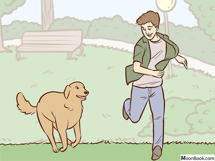 以Persuade Your Parents to Get a Dog Step 2为标题的图片