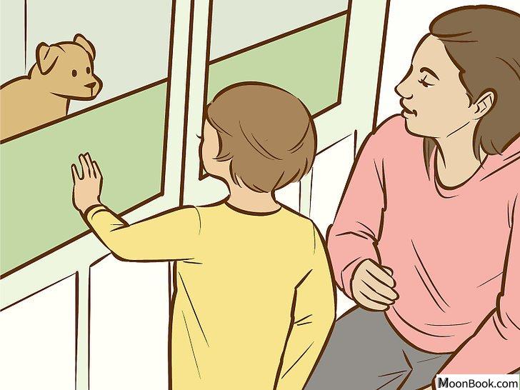 以Persuade Your Parents to Get a Dog Step 20为标题的图片