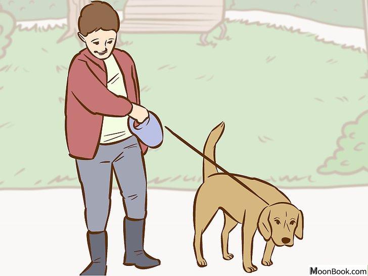 以Persuade Your Parents to Get a Dog Step 5为标题的图片