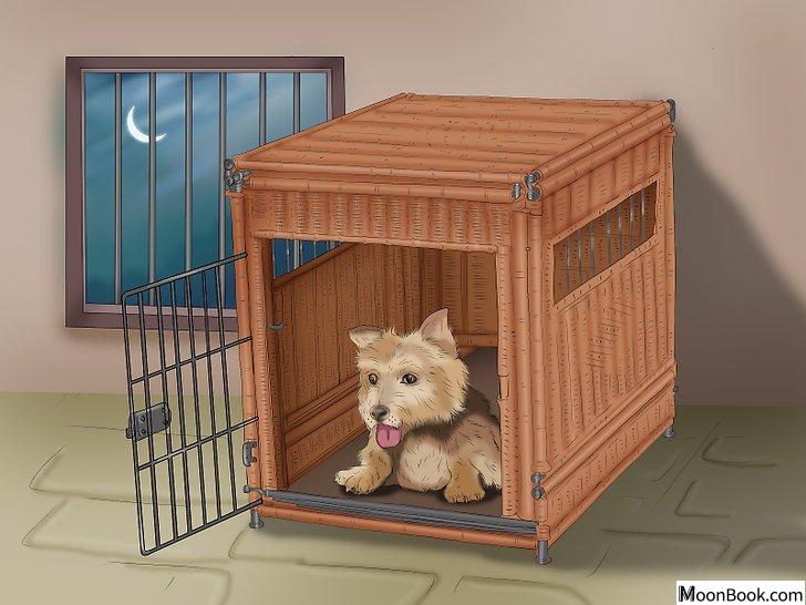 以Potty Train a Puppy in an Apartment Step 8为标题的图片