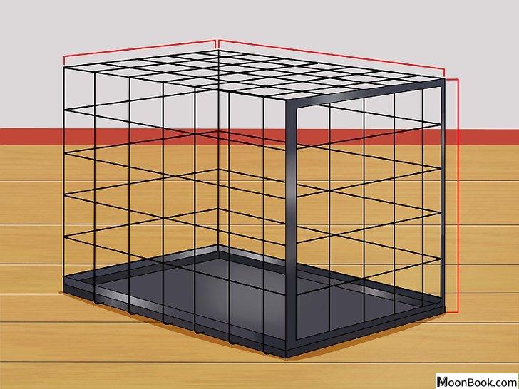 以Prevent a Dog from Defecating in its Crate Step 1为标题的图片